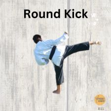 Karate Round Kick